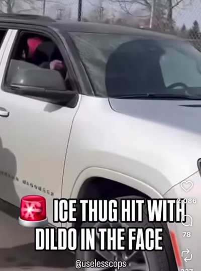 ICE agent hit in the face with dildo