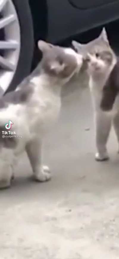 A-