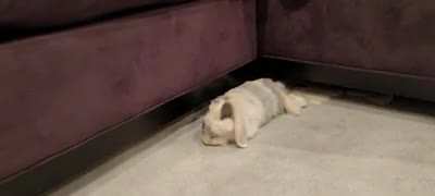 We got our first flop!