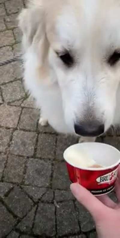 A sweet treat 😊