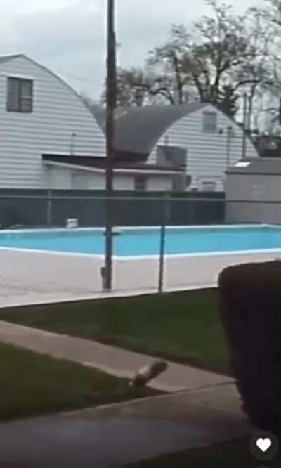 Missed the top