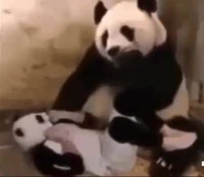 Blursed_Impostor