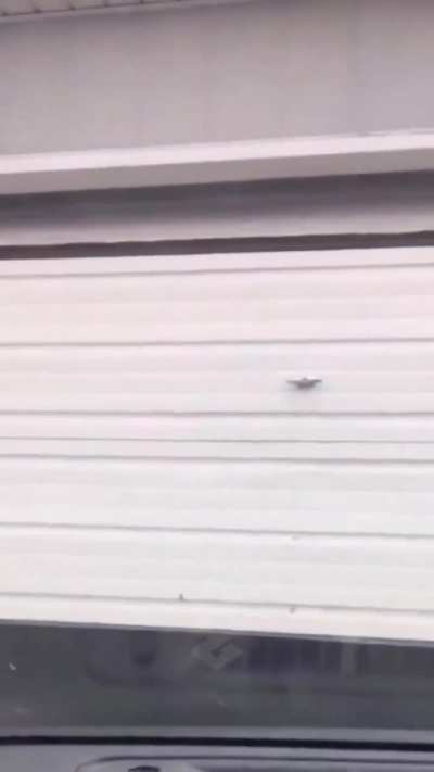 Guy comes home from work every day.