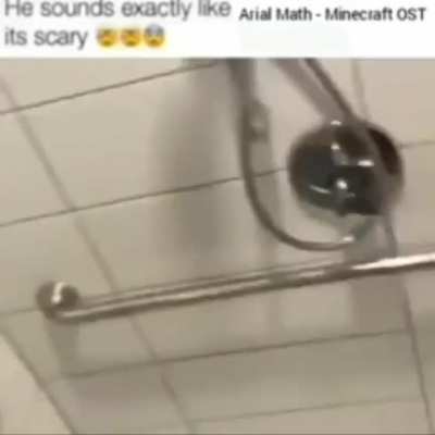 Minecraft ost
