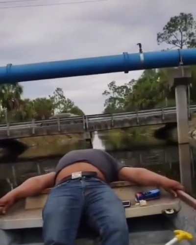 Just a quick little nap
