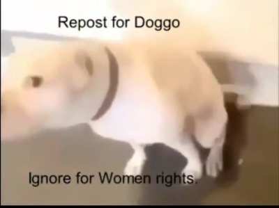 rule