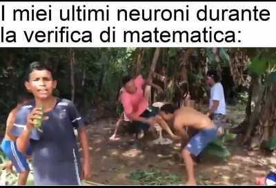 guardatelo tutto che merita