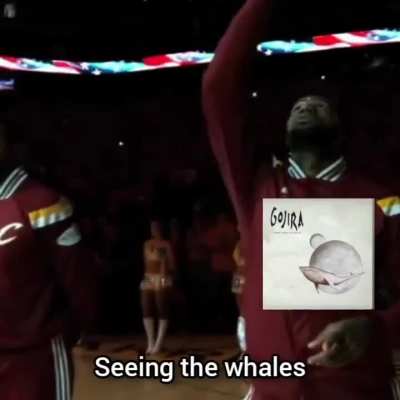 Lebron loves Gojira
