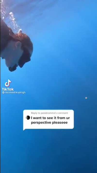 Exploring a bait ball