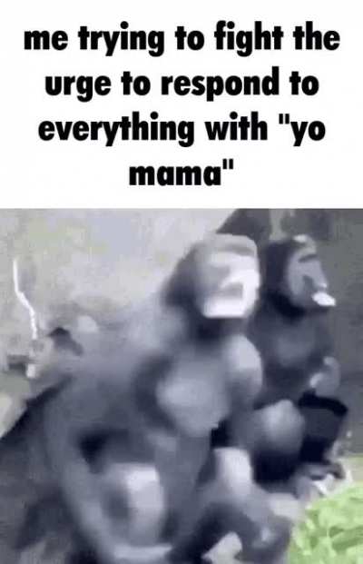yo mama