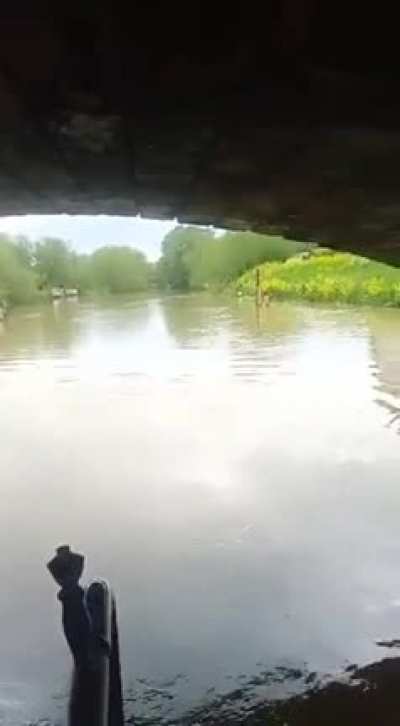 to outrun a boat.