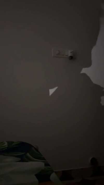 Amateur GIF by cinnamonrollinbuns