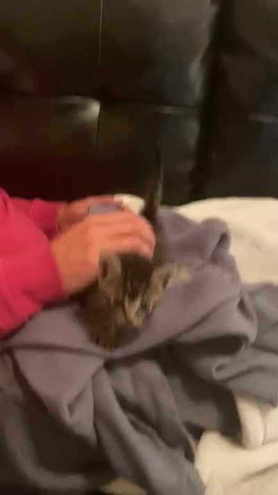 Pointy rescue