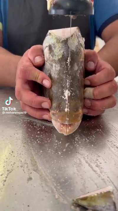 Jhonington fish