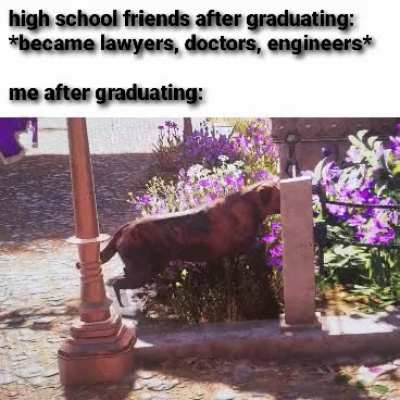not much has changed