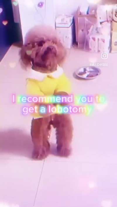 Rogortomy wunkus 