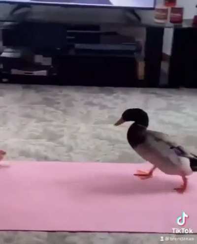 KILL HEEERR