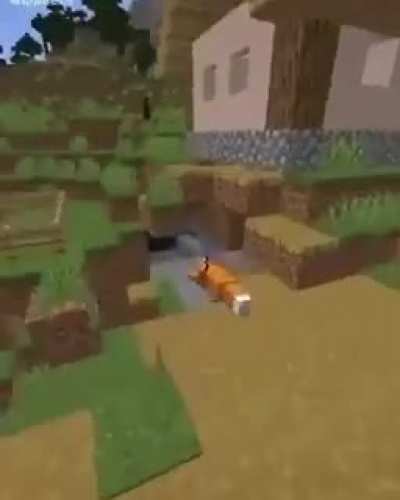 Oh shit