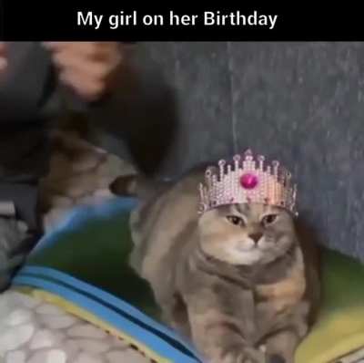 My daughter won't accept anything less 🙂