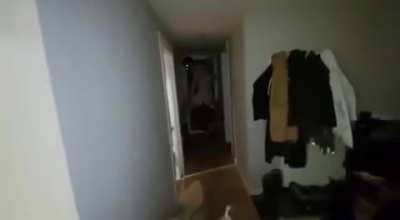 Michael? monkaW