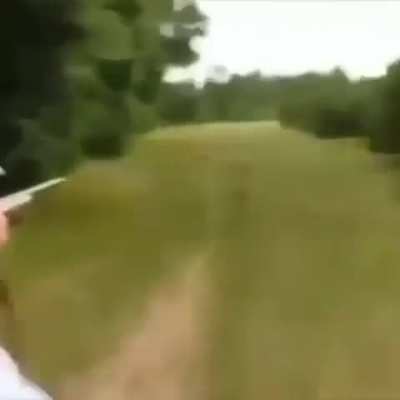 Dale, hunter of endangered species 