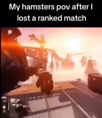 Hampters POV