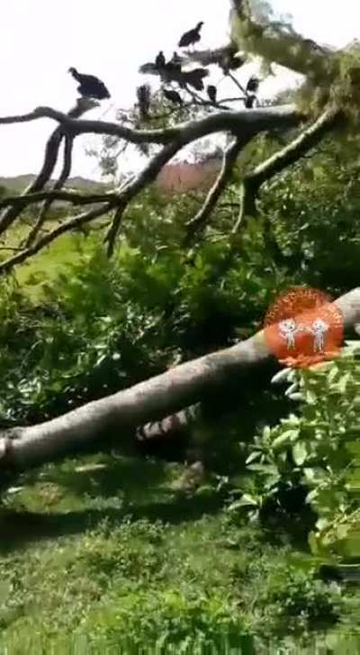 😱😱😱