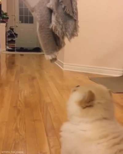 Fluffy fail (not mine)