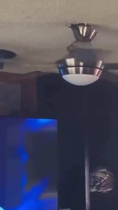 Snake on a ceiling fan