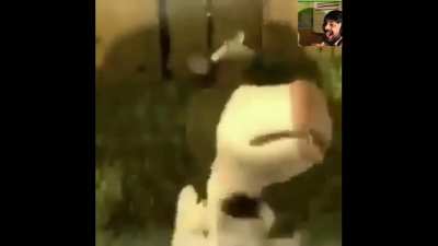 Cum