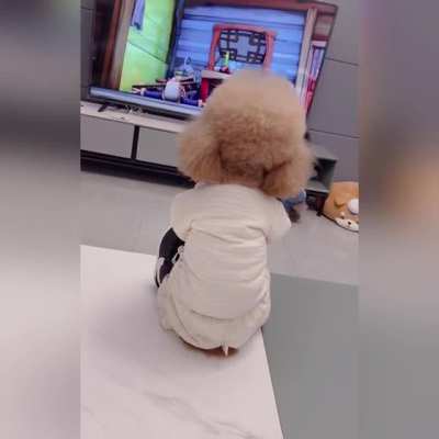 my 3 years old daughter watching tv