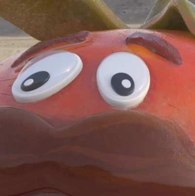 Therapist: Tomato Head isn't real he can't hurt you. Tomato Head:
