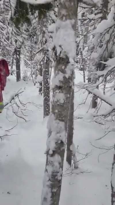 centralized snowstorm