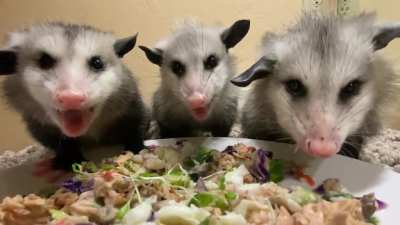 Yummy food!