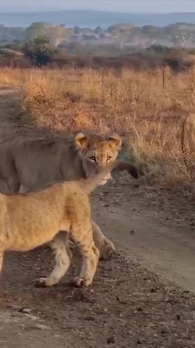 African Family