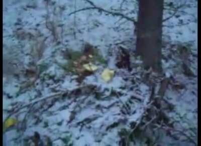 video by pekka eric auvinen titled “just testing my gun”