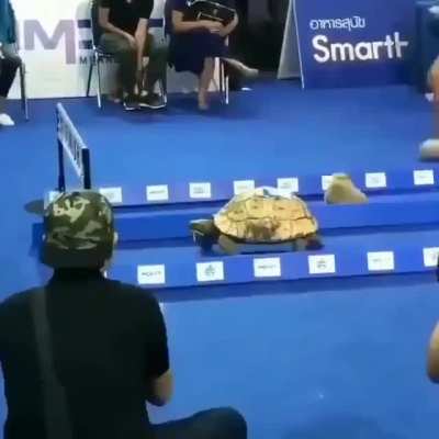 And we have a winner..