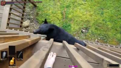 Bear