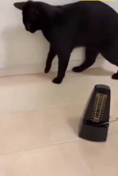 Metronome mini startles