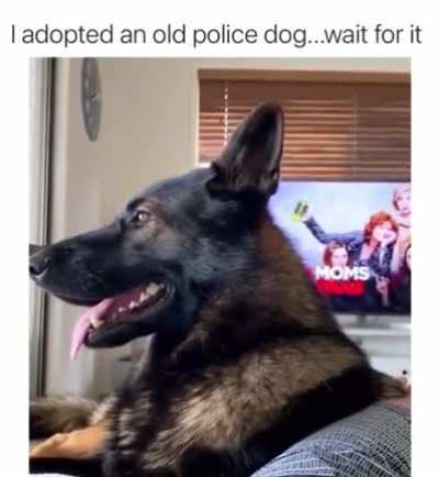 you said what?!?