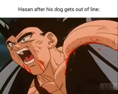 ⚡⚡⚡