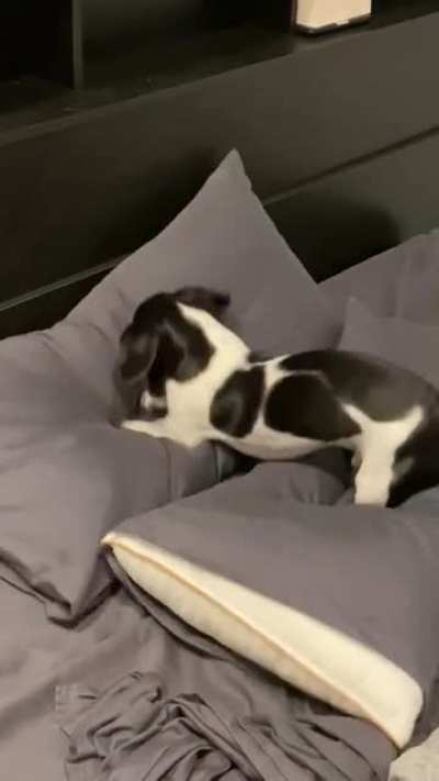 He does this every night before bed