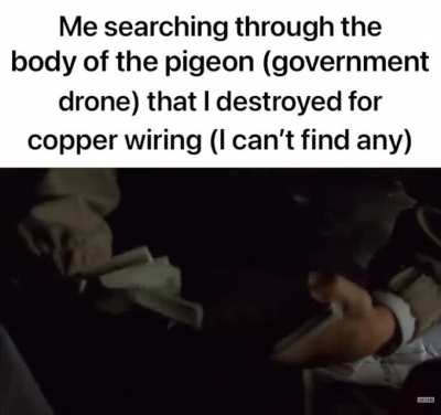 Someday im gonna find those