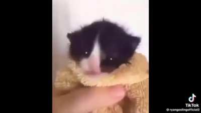Ahhhhhh