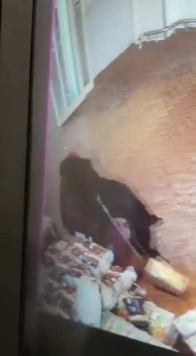 To pet a dog