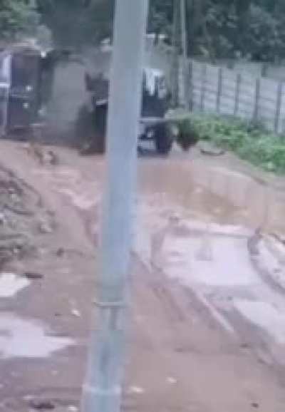 best road, truck and driver in 🇮🇳🇮🇳