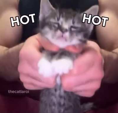 Hot Wunkolate