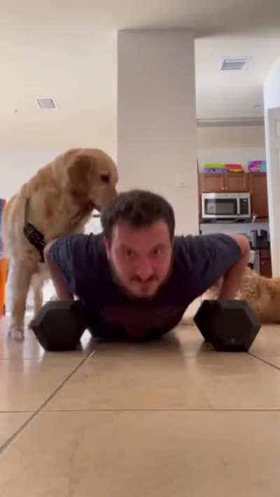 Trying to work out near my puppies is impossible.