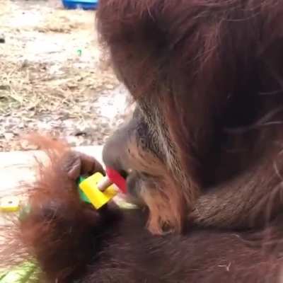 Monkeylips rule
