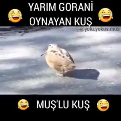 😂